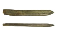 Duvalia binervia